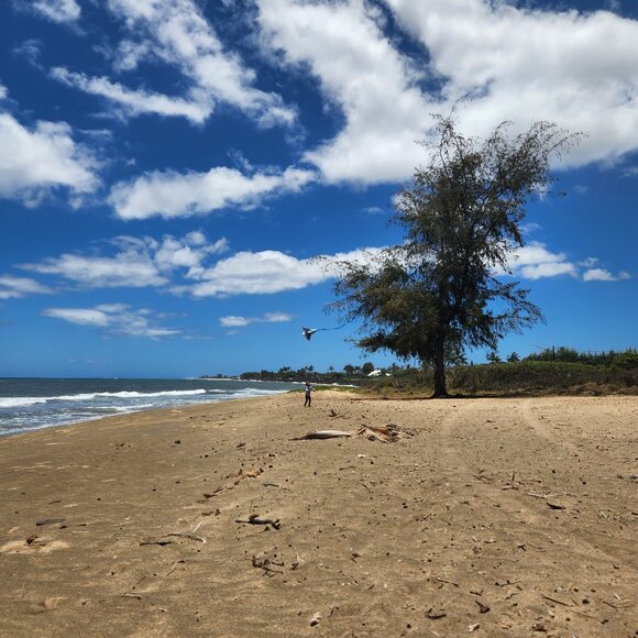 Meet your Posher - Picture 1 of 1